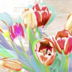 I Dreamt of Tulips (detail) | Obraz na stenu