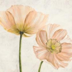 Poppies in Pink II | Obraz na stenu