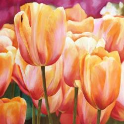 Spring Tulips I | Obraz na stenu