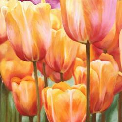 Spring Tulips II | Obraz na stenu