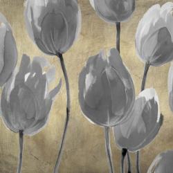 Grey Tulips I | Obraz na stenu