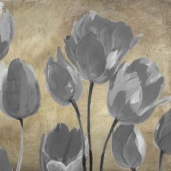 Grey Tulips II | Obraz na stenu