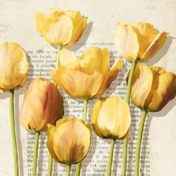 Histoires de Tulipes (detail) | Obraz na stenu