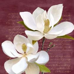 Burgundy Magnolia II | Obraz na stenu