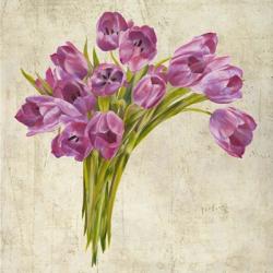 Bouquet de Tulipes | Obraz na stenu