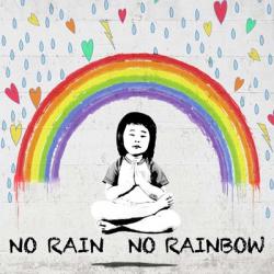 No Rain No Rainbow (detail) | Obraz na stenu