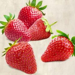 Strawberries | Obraz na stenu