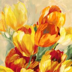 Tulips in the Sun I | Obraz na stenu