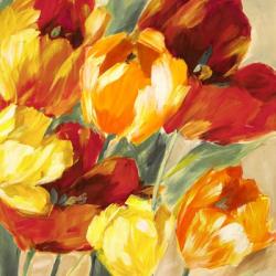 Tulips in the Sun II | Obraz na stenu