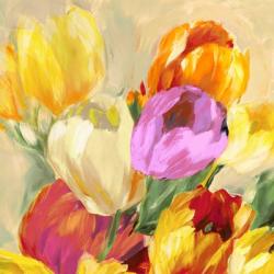 Colorful Tulips I | Obraz na stenu