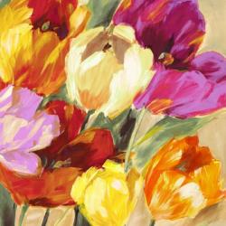 Colorful Tulips II | Obraz na stenu