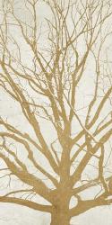 Golden Tree II | Obraz na stenu