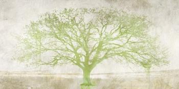 Green Tree | Obraz na stenu