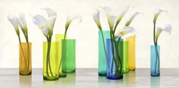 Callas in crystal vases | Obraz na stenu