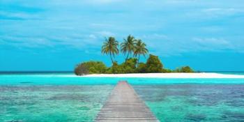 Jetty and Maldivian island | Obraz na stenu