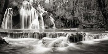 Waterfall in a forest (BW) | Obraz na stenu