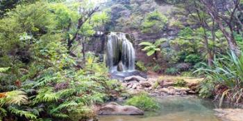 Rainforest waterfall | Obraz na stenu