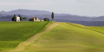 Val d'Orcia, Siena, Tuscany (detail) | Obraz na stenu