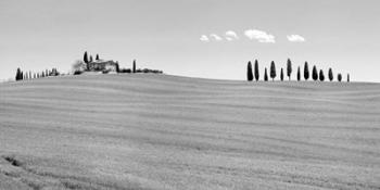 Strada del Brunello, Tuscany (BW) | Obraz na stenu