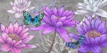 Nympheas and Butterflies (Ash) | Obraz na stenu
