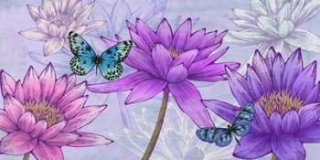 Nympheas and Butterflies | Obraz na stenu