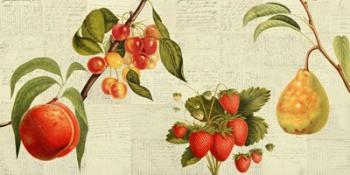 Fruits de Saison | Obraz na stenu