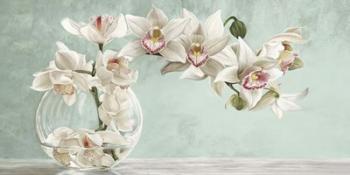 Orchid Arrangement II (Celadon) | Obraz na stenu