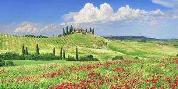 Farmhouse with Cypresses and Poppies, Val d'Orcia, Tuscany | Obraz na stenu