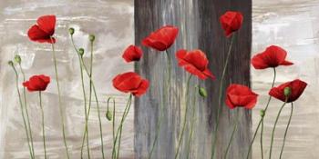 Country Poppies | Obraz na stenu
