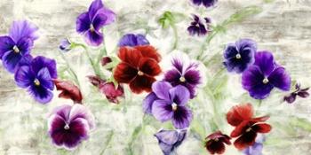 Field of Pansies | Obraz na stenu