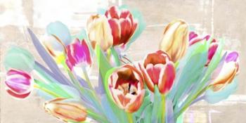 I dreamt of Tulips | Obraz na stenu