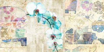 Kaleidoscope Orchid II | Obraz na stenu