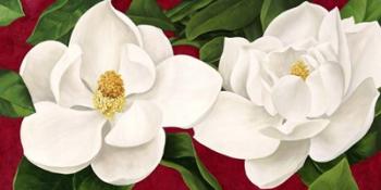 Magnolie in Fiore | Obraz na stenu