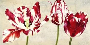 Tulipes Royales | Obraz na stenu