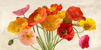 Poppies in Spring | Obraz na stenu