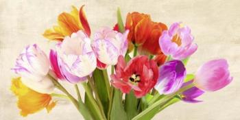 Tulips in Spring | Obraz na stenu