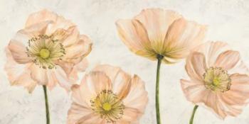 Poppies in Pink | Obraz na stenu