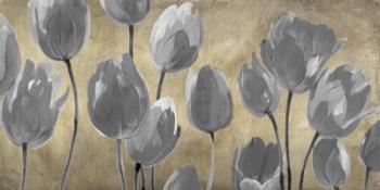 Grey Tulips | Obraz na stenu