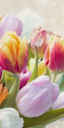 Spring Tulips III | Obraz na stenu