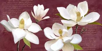 Burgundy Magnolia | Obraz na stenu