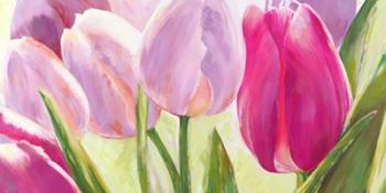 Tulipes I | Obraz na stenu
