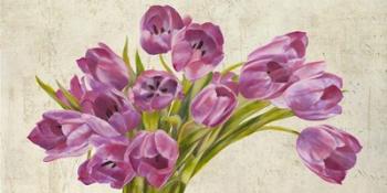 Tulipes II | Obraz na stenu