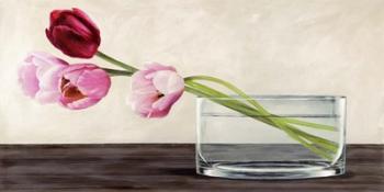 Modern Composition, Tulips | Obraz na stenu