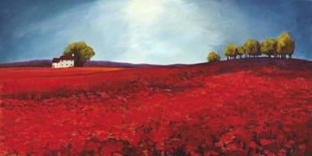 Field of Poppies | Obraz na stenu