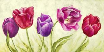 Tulipani Danzanti | Obraz na stenu
