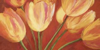 Orange Tulips | Obraz na stenu