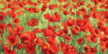 Poppy Field | Obraz na stenu