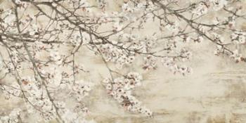 Ciliegio in Fiore | Obraz na stenu