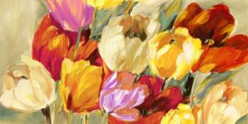 Field of Colorful Tulips | Obraz na stenu