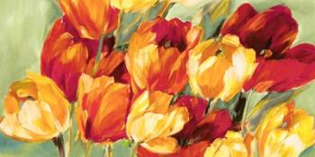 Field of Tulips | Obraz na stenu